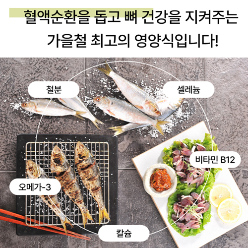 산지 직송 동해안 전어 1kg (5미내외)