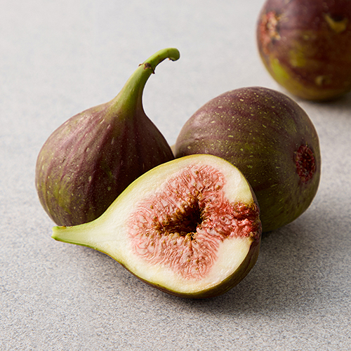 여왕의 과일 영암 무화과